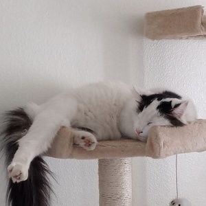 Meet your Posher, Scott